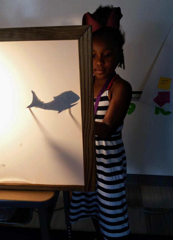 Shadow Puppet Workshop