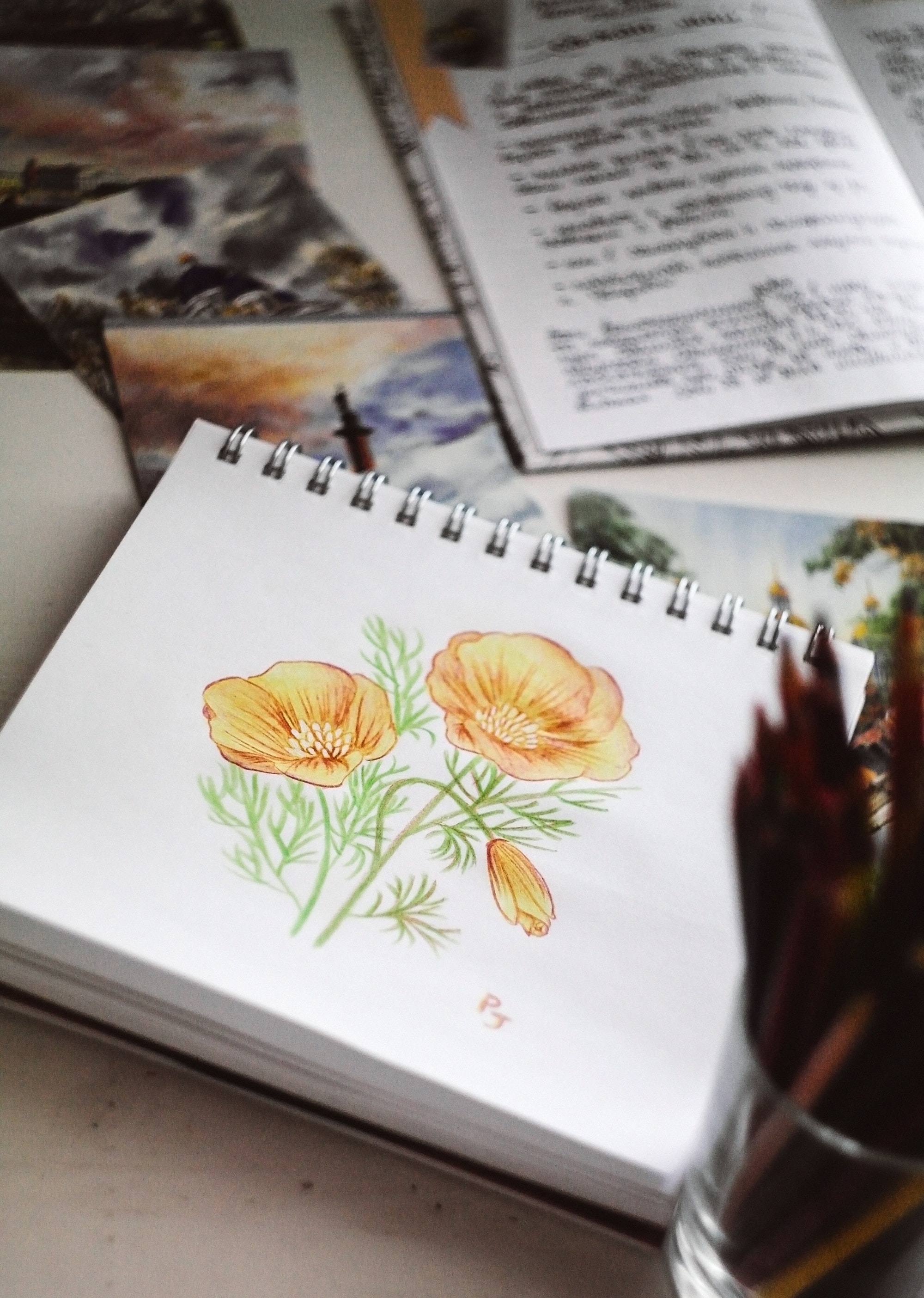 image of a drawing of yellow flowers in a notebook