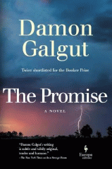 Damon Galgut "The Promise"