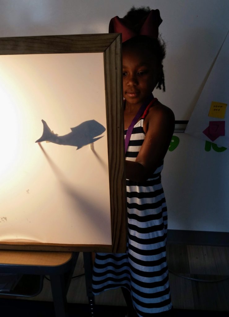 girl using shadow puppet theater