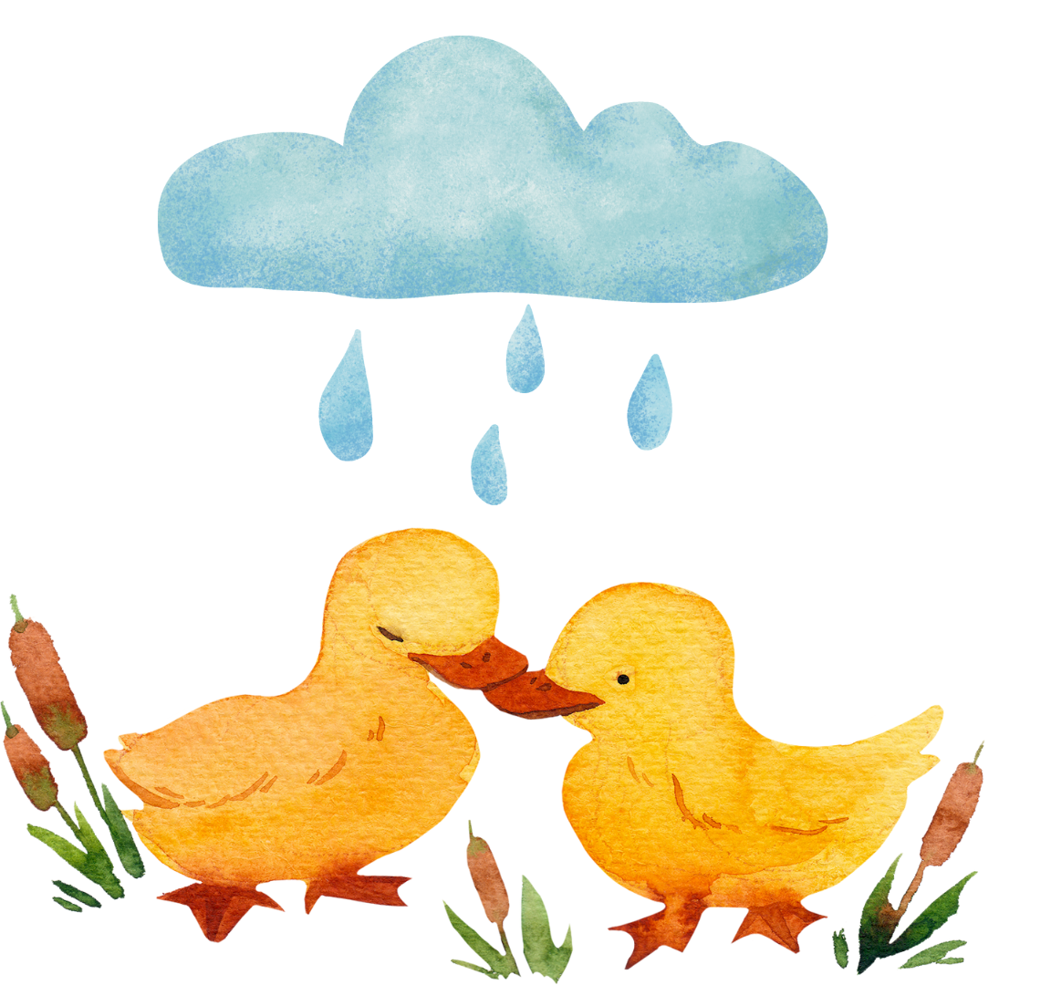 ducks in rain