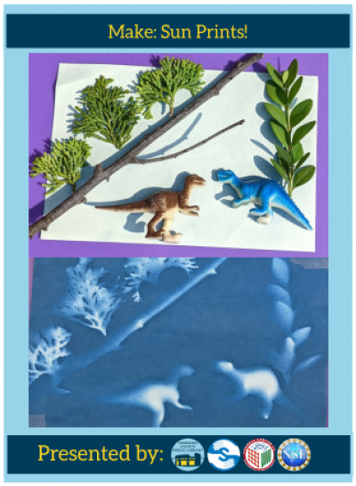 Image of leaves and dinosaur figurines being made into a UV light sun print