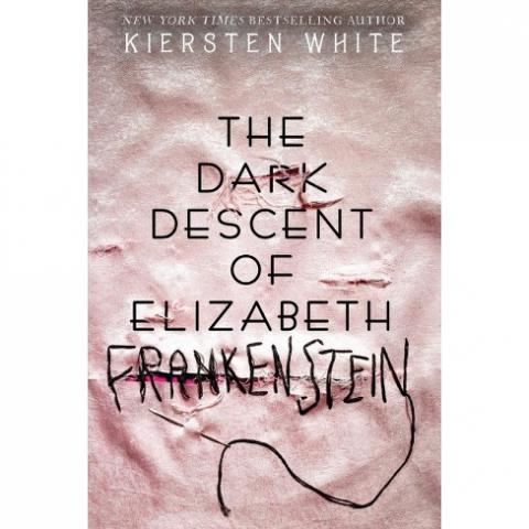 Photo of the book cover which shows the title, The Dark Descent of Elizabeth Frankenstein, in black letters on a pink background with stitching.