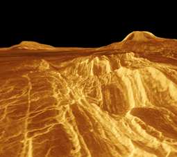 topographical image of Venus