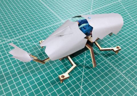 Robot Beetle