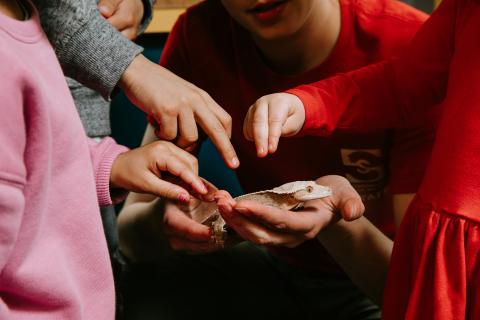 Sciencenter Live Animal show