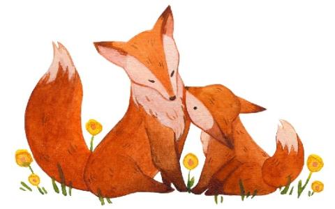 fox parent and baby