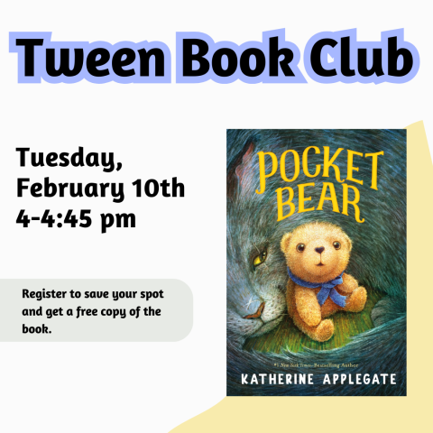 Image of the book Pocket Bear