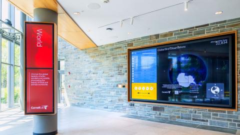 Image of Lab of O interior by Alexandra Bayer