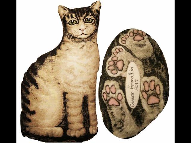 Ithaca Kitty