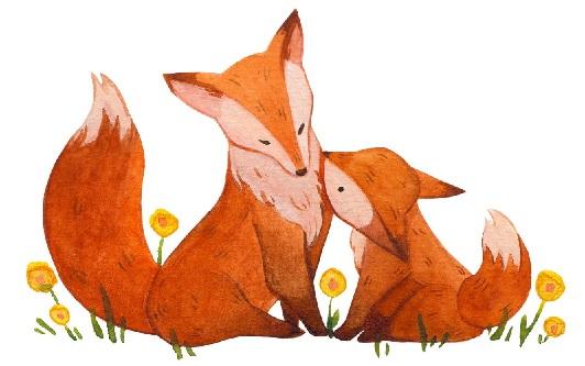 fox parent and baby