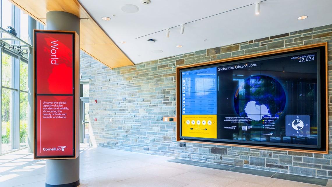 Image of Lab of O interior by Alexandra Bayer