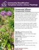 Ornamental Alliums. These bulbs bloom in spring or early summer after daffodils and tulips have faded. Each bulb puts out blade-like foliage at first and then a single stalk with one globe-like group of lavender colored flowers. Once the flower has completed its bloom and gone to seed, the whole plant begins to die back and goes dormant for the rest of the year. Many varieties are available that range in heights generally from 1-3 feet tall and bloom size from 1 to 12 inches in diameter. 