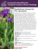 Bearded Iris is an herbaceous perennial in the Iris family (Iridaceae), thought to originate from the Mediterranean region. There are thousands of different cultivars available in a variety of colors and heights. Bearded iris spread by means of underground stems called rhizomes. They thrive in full sun conditions and are highly tolerant of dry soils and drought. Bearded iris actually prefer drier conditions; they can easily rot in areas that are too wet or not well- drained.