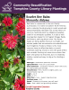 Bee balm is a perennial in the mint family (Lamiaceae). It is native to Eastern North America and is naturally found growing in moist woods and along streambeds. Bee Balm has a long history of use as a medicinal plant by Indigenous peoples, used for its antiseptic qualities. It is also a well-loved garden staple for its fragrant foliage, flashy red flowers, and long bloom time. The flower heads are dense globes that put out bright red tubular petals that are attractive to butterflies and hummingbirds.