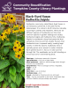 Rudbeckia, commonly called Black-Eyed Susan, is an herbaceous perennial in the aster family (Asteraceae). It is native to North America, naturally occurring in prairies and meadows. There are 25 different species of Rudbeckia, but the most common species in garden settings are usually Rudbeckia fulgida and Rudbeckia hirta. Rudbeckia fulgida is considered a long-lived perennial that spreads by rhizome and has smaller flowers than Rudbeckia hirta. It spreads easily, creating large swaths of cheerful blooms. 