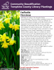 Daffodils are bulbs in the Amaryllis family (Amaryllidaceae). They are widely considered to be one of the most cheerful flowers of spring. Daffodils are grown in temperate climates around the world, and its popularity has led to production of many varieties. Daffodils are perennials that will return year after year and multiply for loads of spring color. 