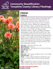 Dahlia is a genus of bushy, tuberous perennials native to Mexico and Central America. They are grown for their spectacular flowers which range from 2 to 10 inches wide, come in almost every color, and have a wide variety of forms. Dahlias are considered to be high-maintenance plants, requiring some care to get the most of their splendid blooms. They benefit from a sunny spot in rich, fertile soil. 
