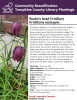 Fritillaria meleagris is a bulbous perennial native to river flood plains in Europe. The plants have a loose, open growth habit with slender foliage. The downward-facing, bell-shaped flowers appear mid spring on upright stems. Fritillaria have a distinct checkerboard pattern in colors of reddish purple. Fritillaria thrives in rich, well drained, consistently moist soil and in dappled shade. The foliage will die back before the summer heat but won't leave a large open gap to fill in the garden bed. 