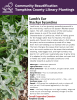 Lamb's ear, is a low growing, spreading perennial in the mint family, native to the Eastern Mediterranean region. The soft, velvety texture of the silvery gray-green leaves is one of the most defining characteristics of Lamb's Ear, which is mainly grown for the foliage rather than for flowers. The small purple-pink flowers rise on spikes about a foot above the plant, and are sometimes pruned off to keep them from self seeding or to maintain the low profile. 