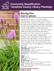 Blazing Star, or Liatris, is a clump-forming perennial plant native to Eastern North America, naturally found in prairies or meadows. It is part of the Aster family of plants (Asteraceae). Blazing Star has grass-like foliage that sprouts from corms and is most recognizable for its tall bottle brush blooms of purple-pink flowers. The flower spike is made up of many small flowers that open in succession from the top down for a long bloom time in mid to late summer. 