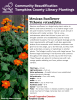 Mexican sunflower is a large bushy plant native to Mexico and Central America. In its native range it can be quite invasive, however it is grown as an annual in climates with colder winters. This is a low-maintenance plant that thrives in poor soil. It is drought tolerant once established, and is mostly unbothered by pests. Full sun and good drainage are its main requirements, although it will also appreciate shelter from excessive wind. Mexican sunflowers can grow to be very large, up to six feet tall.