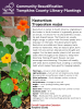 Nasturtium is native to South America, originating in the Andes. In North America it is generally grown as an annual. It is known for its characteristic circular, lily pad shaped leaves. The flowers are usually bright orange or yellow with five broad petals and a long spur on the back. The above-ground parts Nasturtium are edible and have a peppery taste similar to watercress. They are easy to grow, don't need rich soil, and can tolerate some drought and neglect.